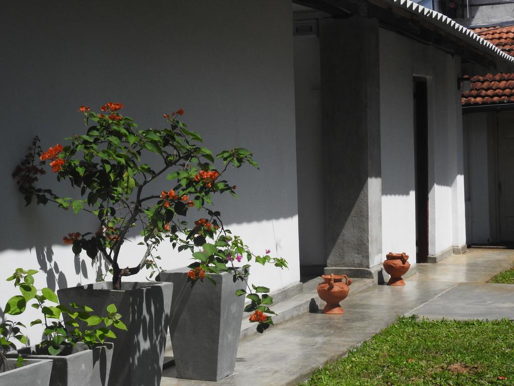 Wattarantanne Homestay キャンディー エクステリア 写真